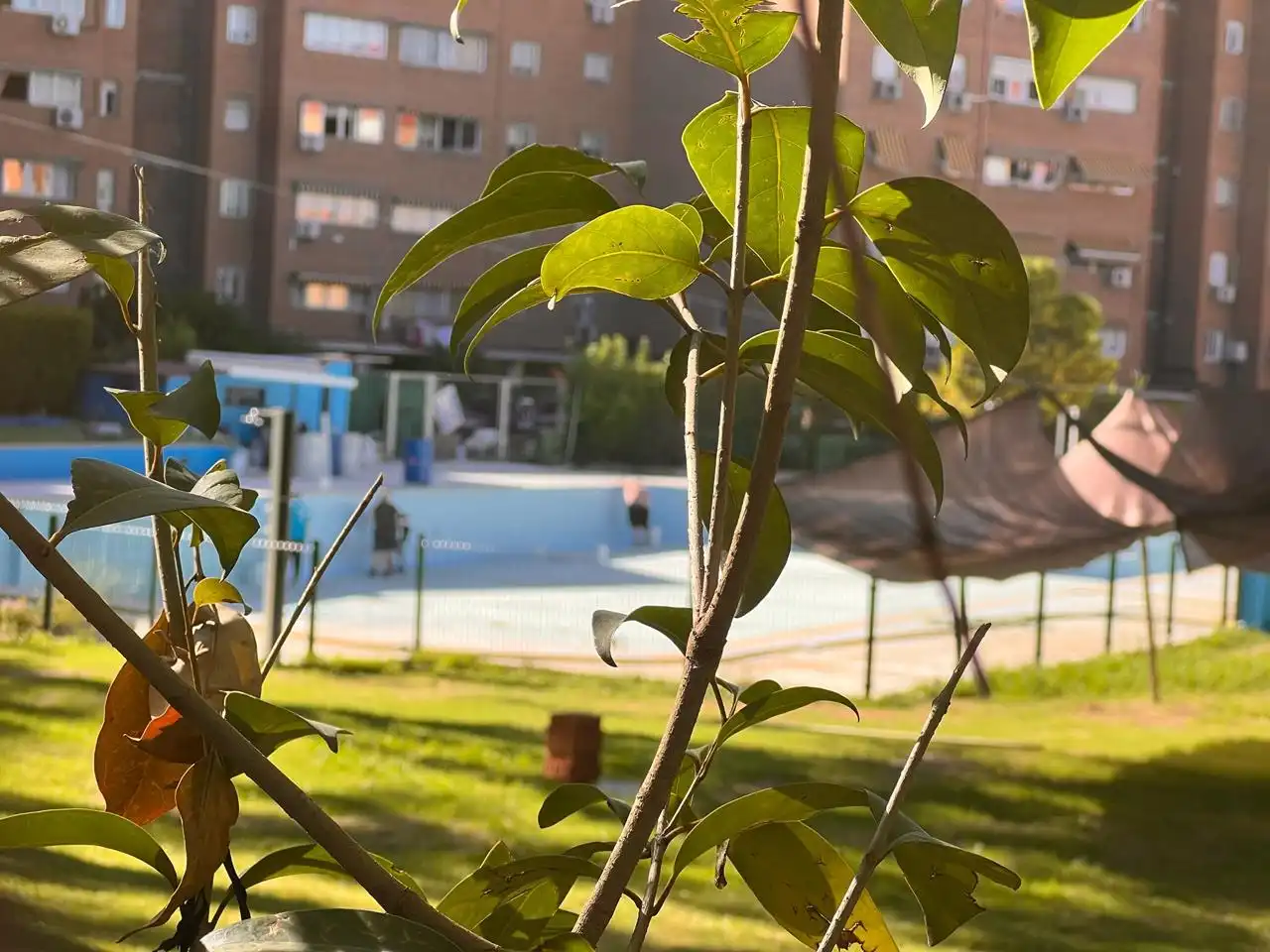 Jardín de Piso en venta en Torrejón de Ardoz con Calefacción y Terraza