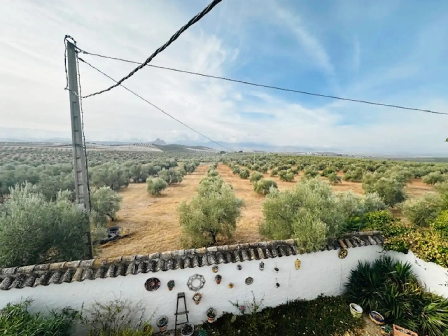 Jardín de Finca rústica en venta en Antequera con Terraza