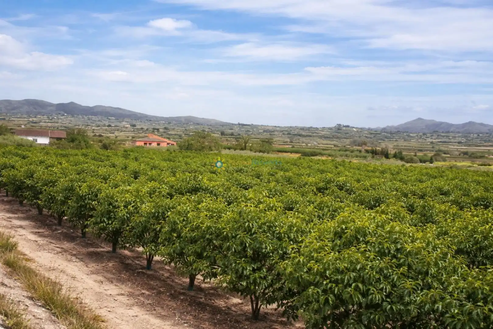 Finca rústica en venda en Benigànim amb Traster
