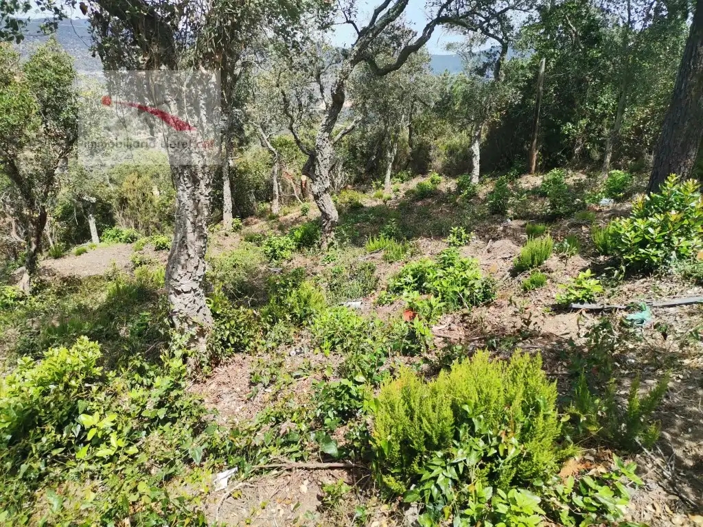 Terreno residencial en venta en Calle Avets 7, imagen 2