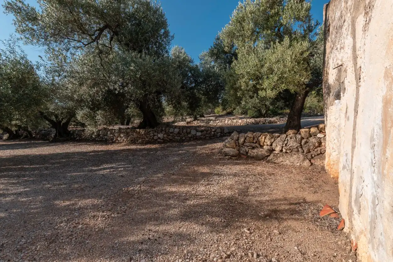 Finca rústica en venta en Mas de Barberans con Trastero