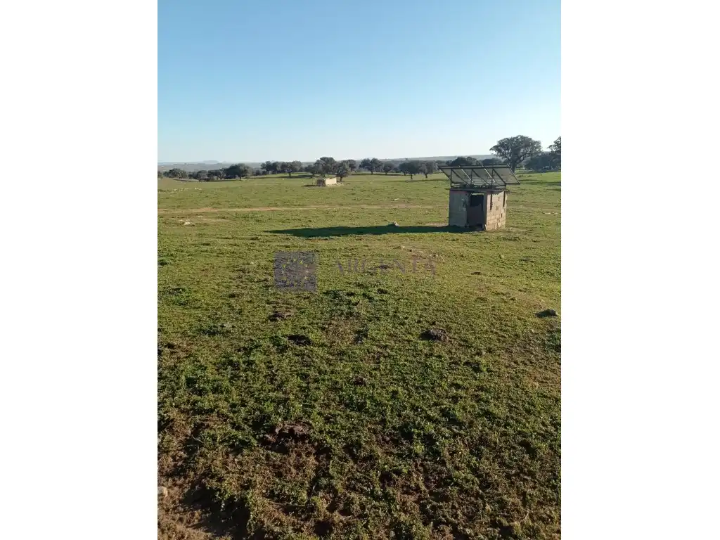 Casa en venta en Poligono 42 Paraje 180 Manzano, imagen 3