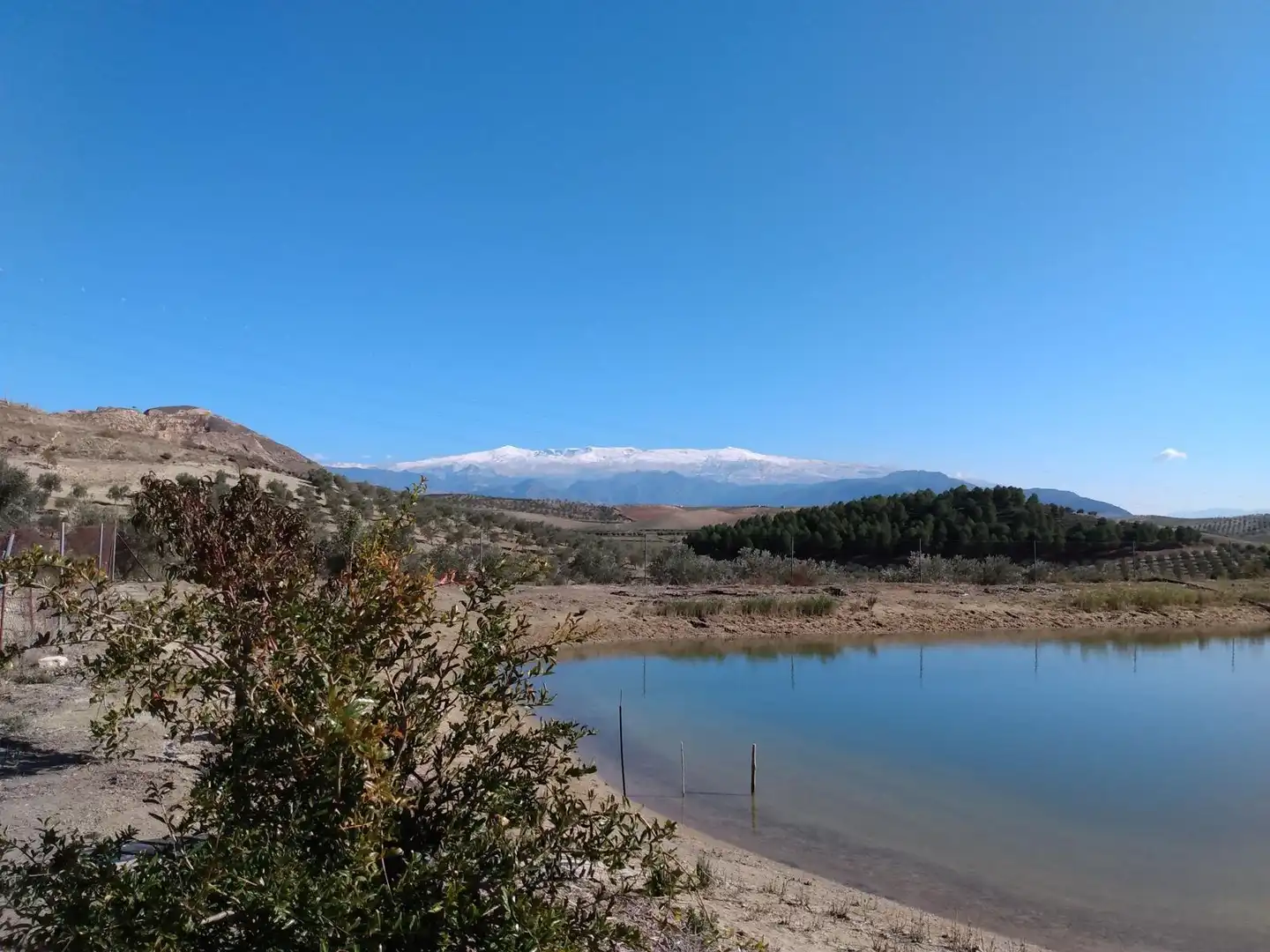 Vista exterior de Finca rústica en venta en La Malahá