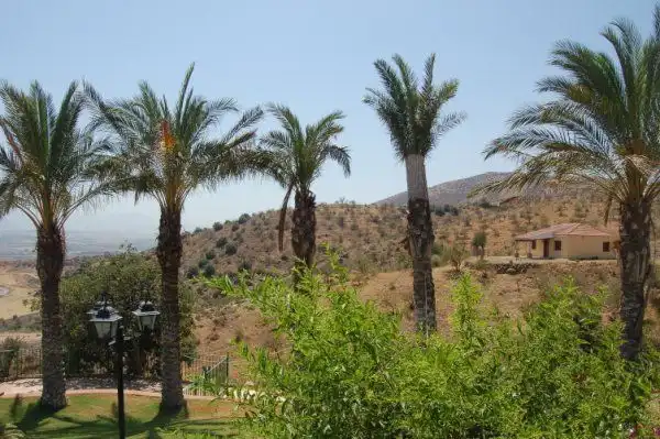 Finca rústica de alquiler en Cártama pueblo