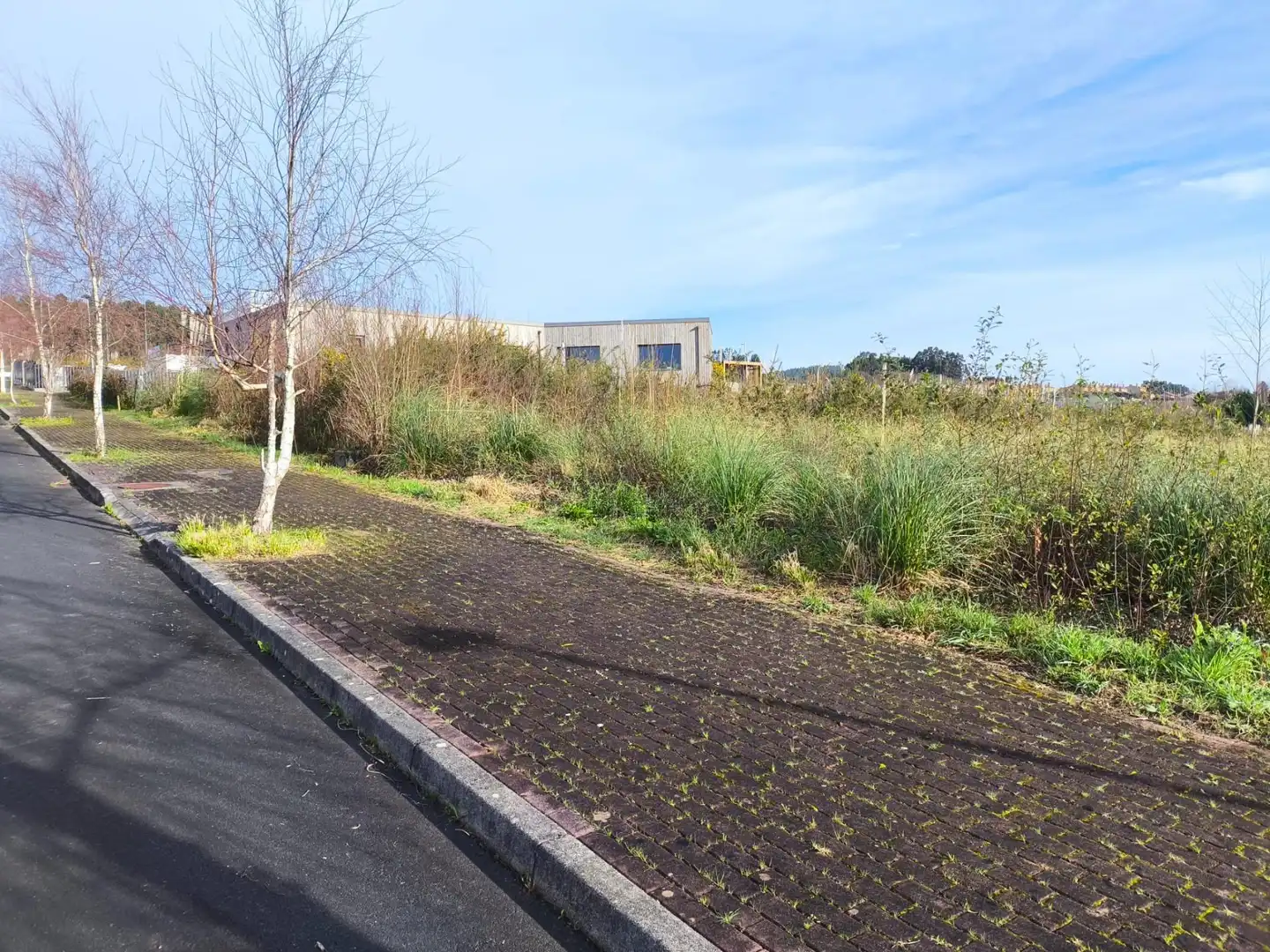 Terreno residenziale in vendita a Lugar VILLANUEVA, imagen 8