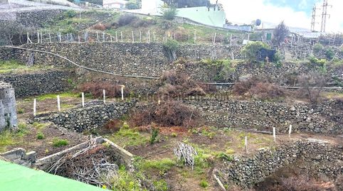 Foto 4 de Finca rústica en venta en La Vega - El Amparo - Cueva del Viento, Icod de los Vinos