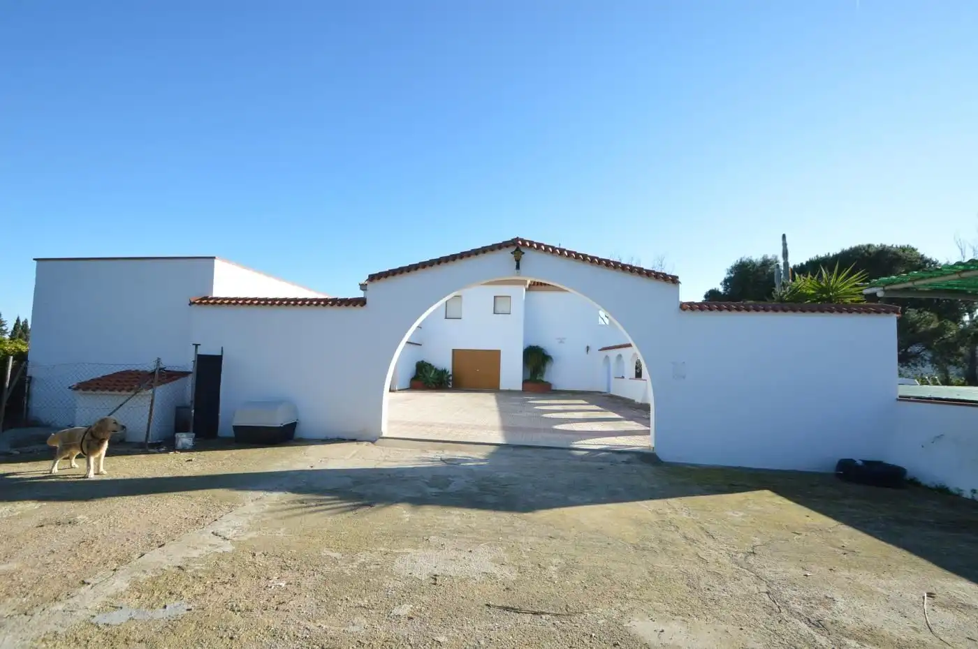 Vista exterior de Casa o chalet en venta en Benicarló con Aire acondicionado, Calefacción y Jardín privado