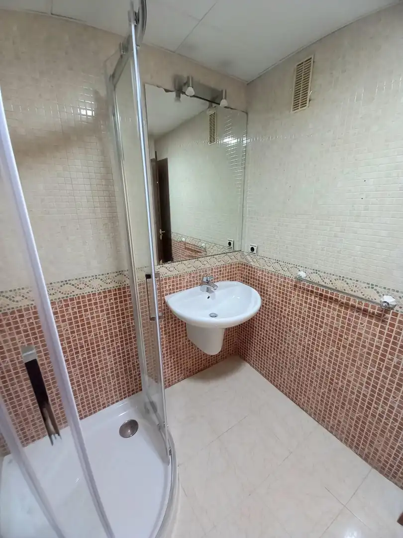 Bathroom of Flat for rent in Poniente-Sur