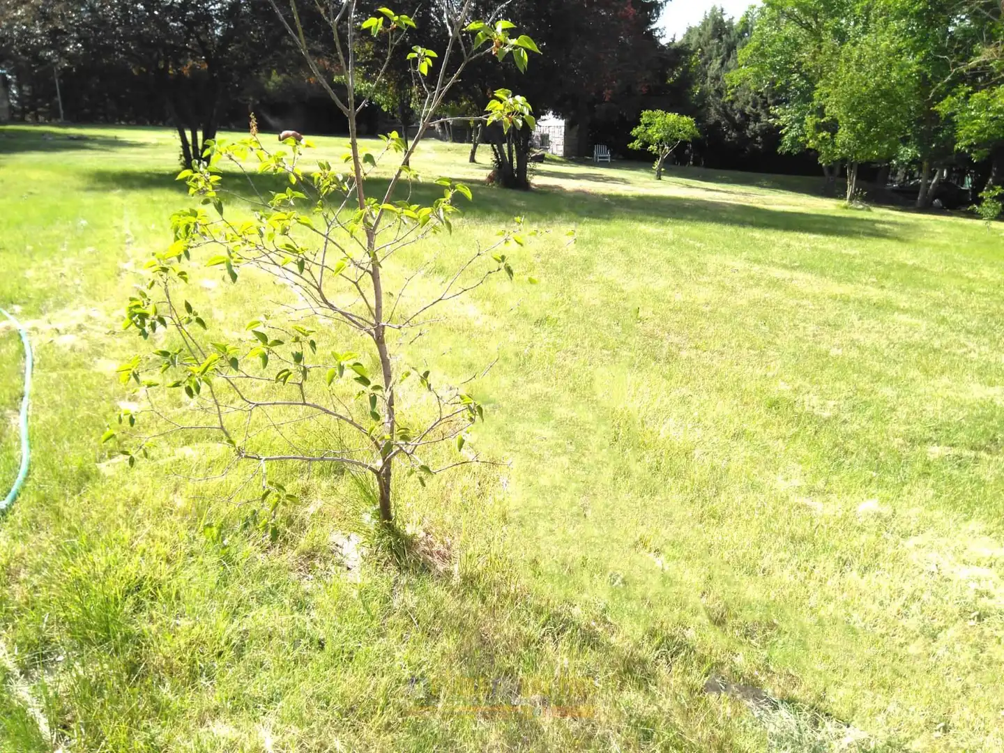 Casa o xalet en venda en Santa Marta de Tormes amb Calefacció, Jardí privat i Terrassa