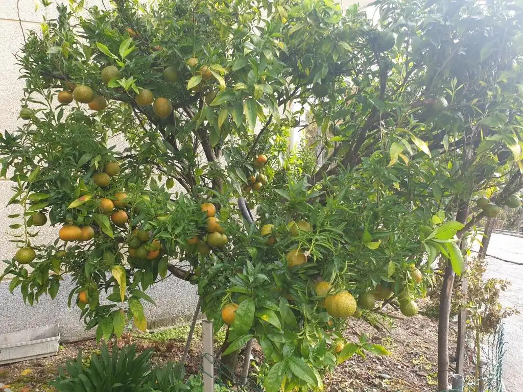 Casa o xalet en venda a laias, Cenlle