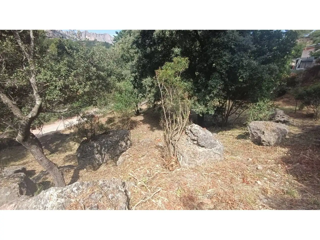 Rural land for sale in Vacarisses, imagen 15