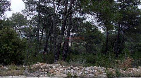 QuerolTerreno, immagine 2