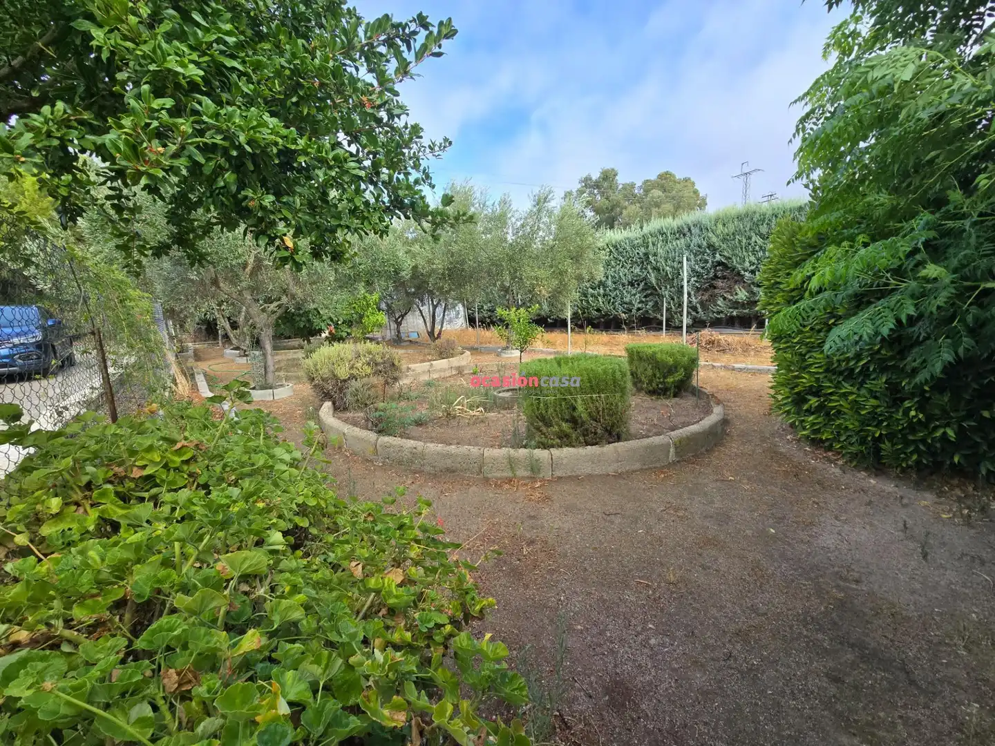 Detached house with pool for sale in Alcaracejos, imagen 5