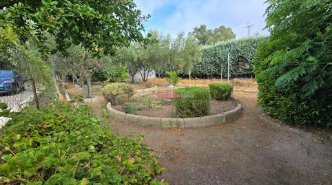 Foto 5 de Casa o chalet en venta en Alcaracejos, Córdoba