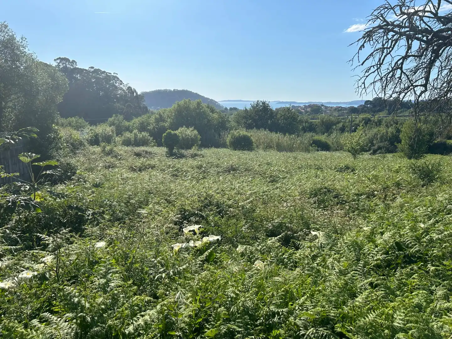Terreno rustico in vendita a Marín, imagen 4