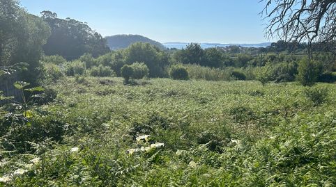 Finca de 20.000 m2, situada en Ameal, Marín, buena cominicac, immagine 4