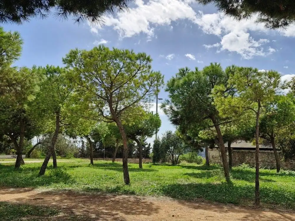 Flat with lift for sale in carrer del Farell 15, imagen 29