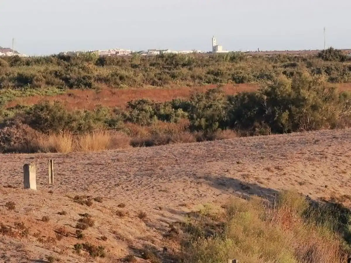 Terreno rustico in vendita a Camino LOS HUERTOS, imagen 56