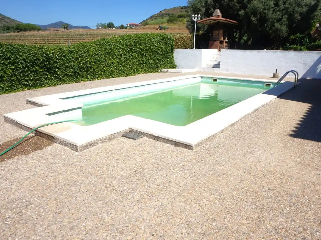 Swimming pool of Houses for sale in Pineda de Mar
