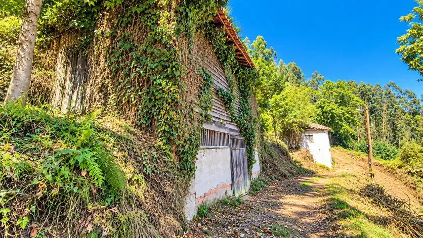 Casa en venta en Pravia, imagen 17