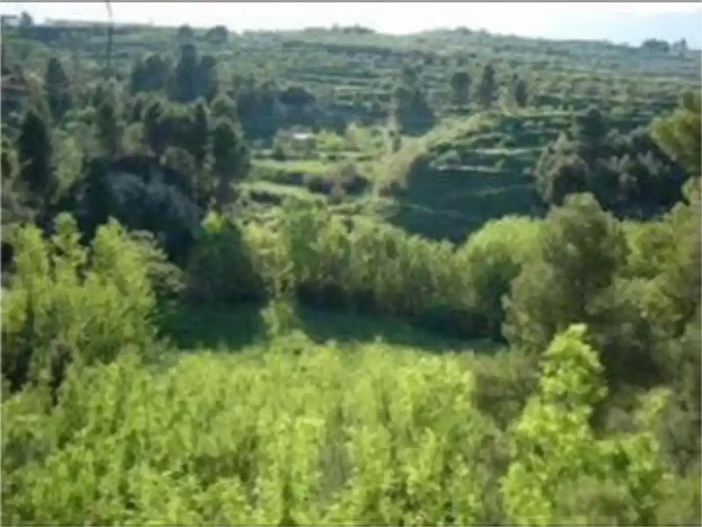 Land for sale in Planes
