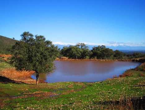 Residencial en venda a Serrejón