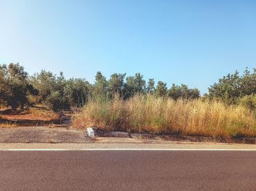 Rural land for sale in Ulldecona
