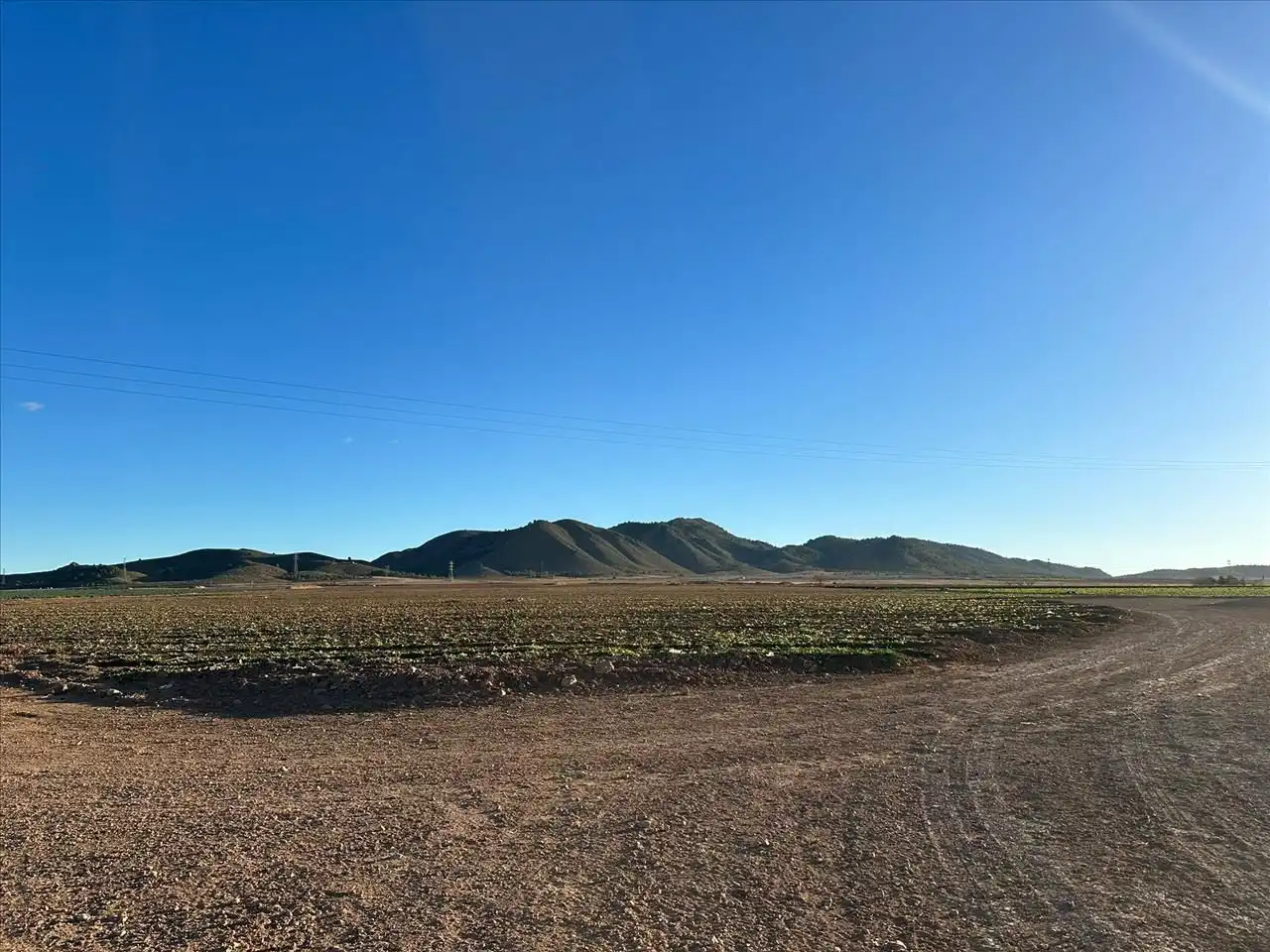 Country house for sale in Jumilla, imagen 2