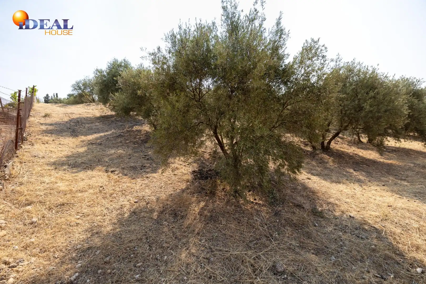Finca rústica en venta en Moraleda de Zafayona