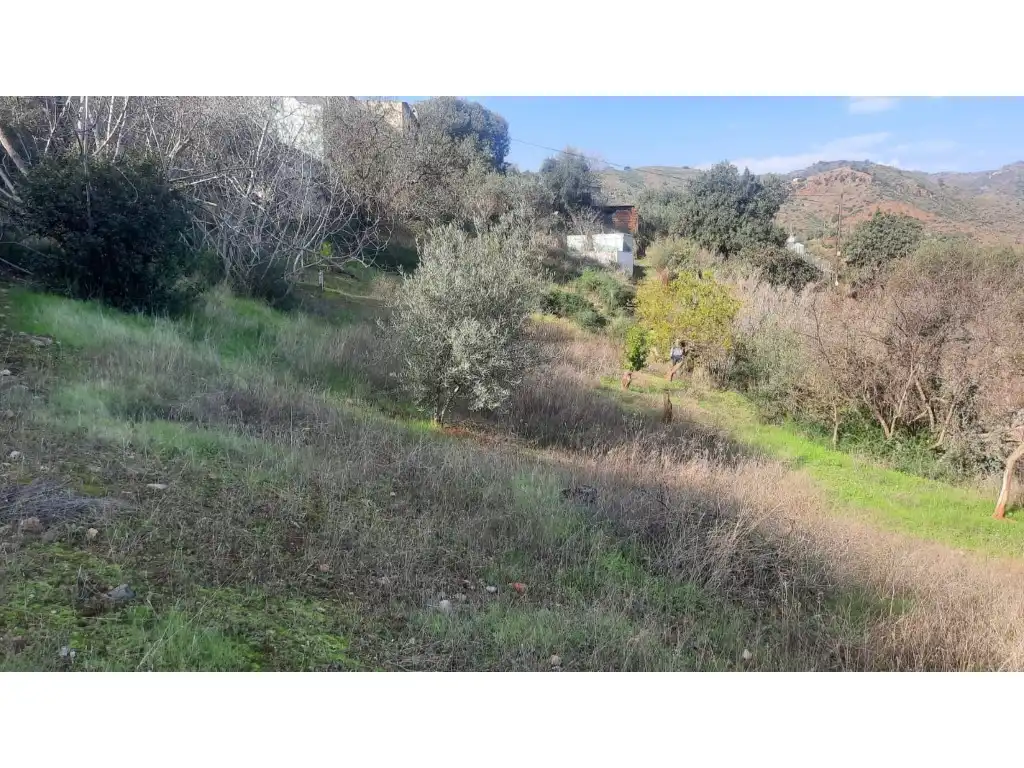 Terrenos y solares en venta en Almogía, imagen 27