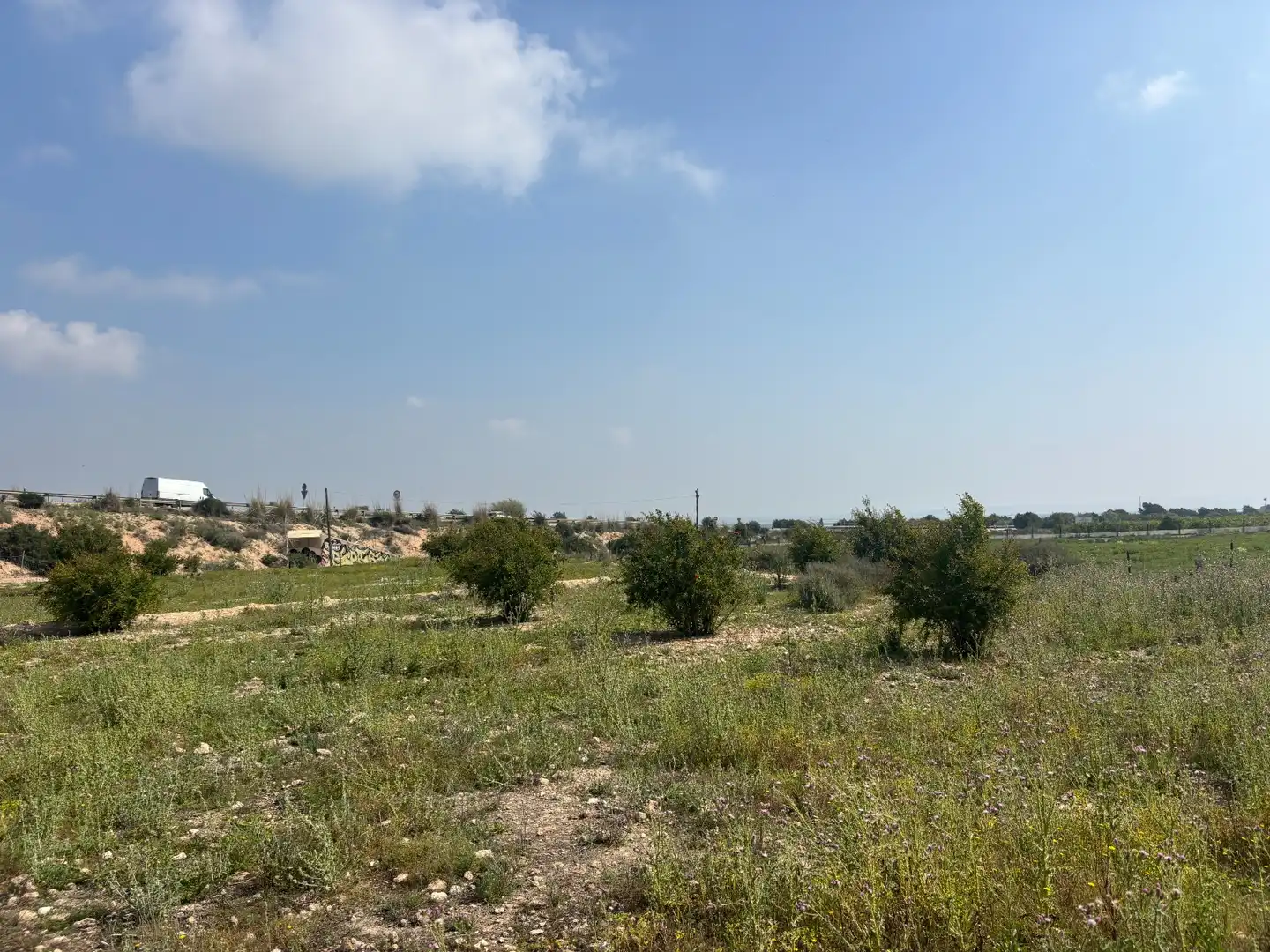 Grundstücke zum Verkauf in Elche / Elx