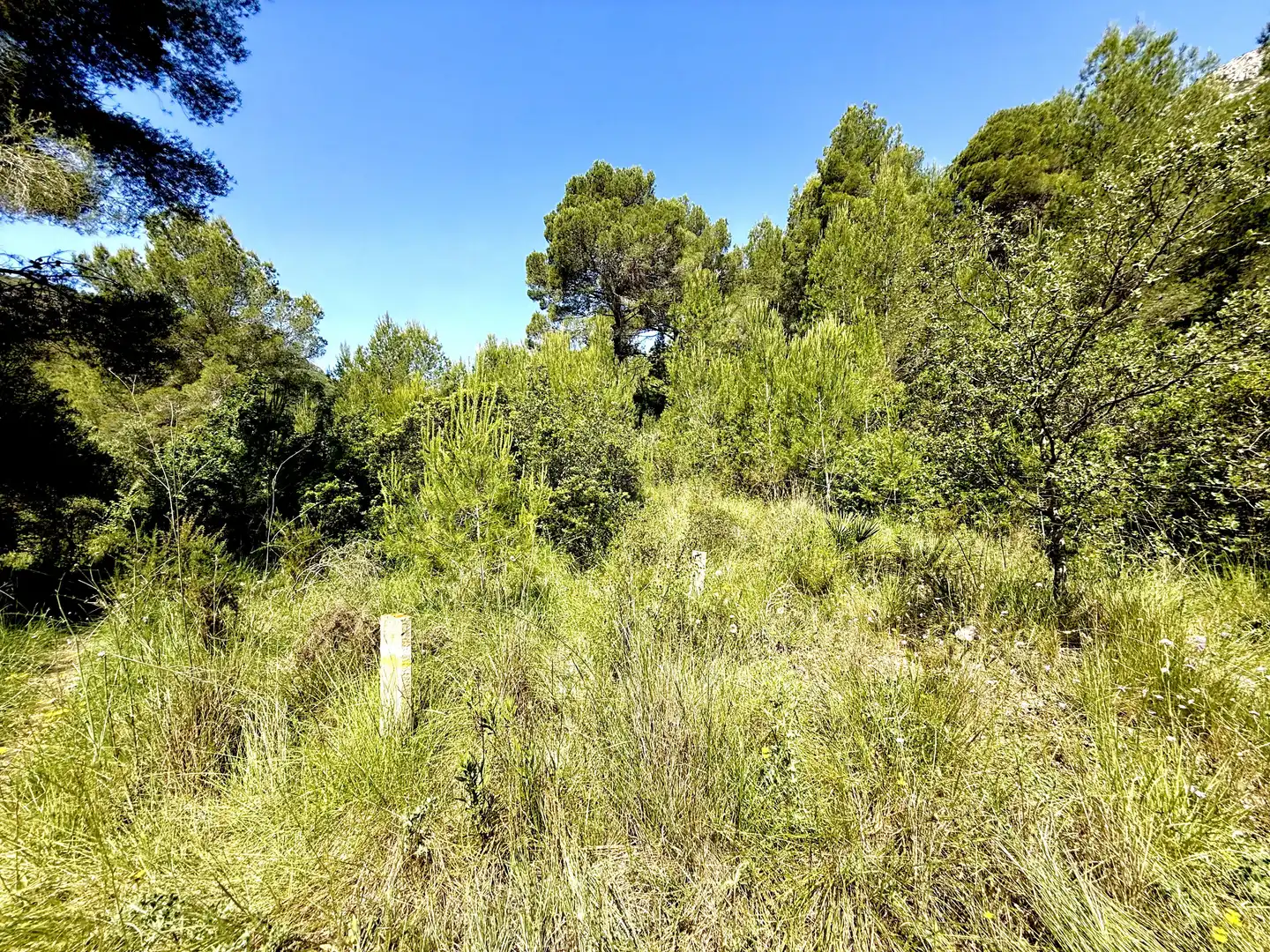 Terreno en venta en Llíber
