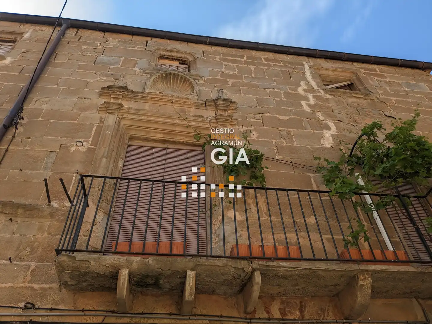 Vista exterior de Casa o chalet en venta en Els Plans de Sió con Trastero, Amueblado y Balcón