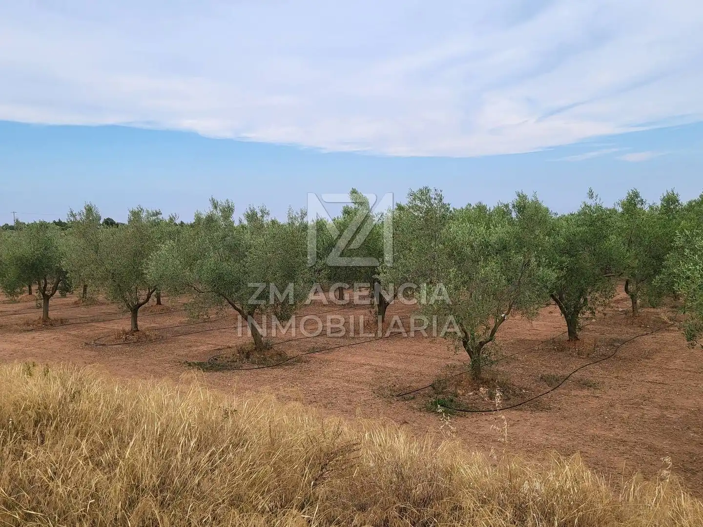 Terreno rústico en venta en Pueblo, imagen 14