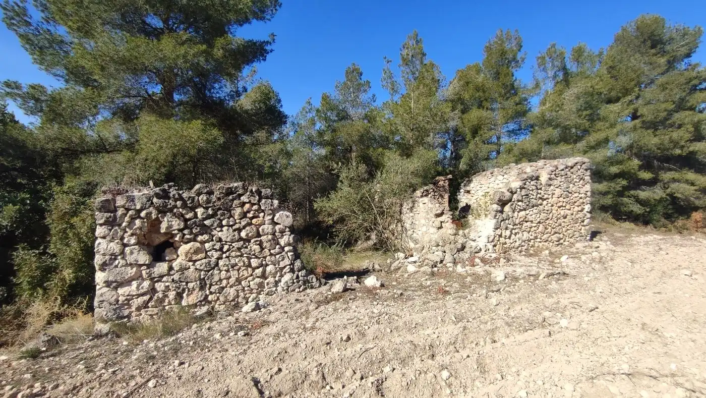 Rural land for sale in Carrer de les Pinyeres 24, imagen 12