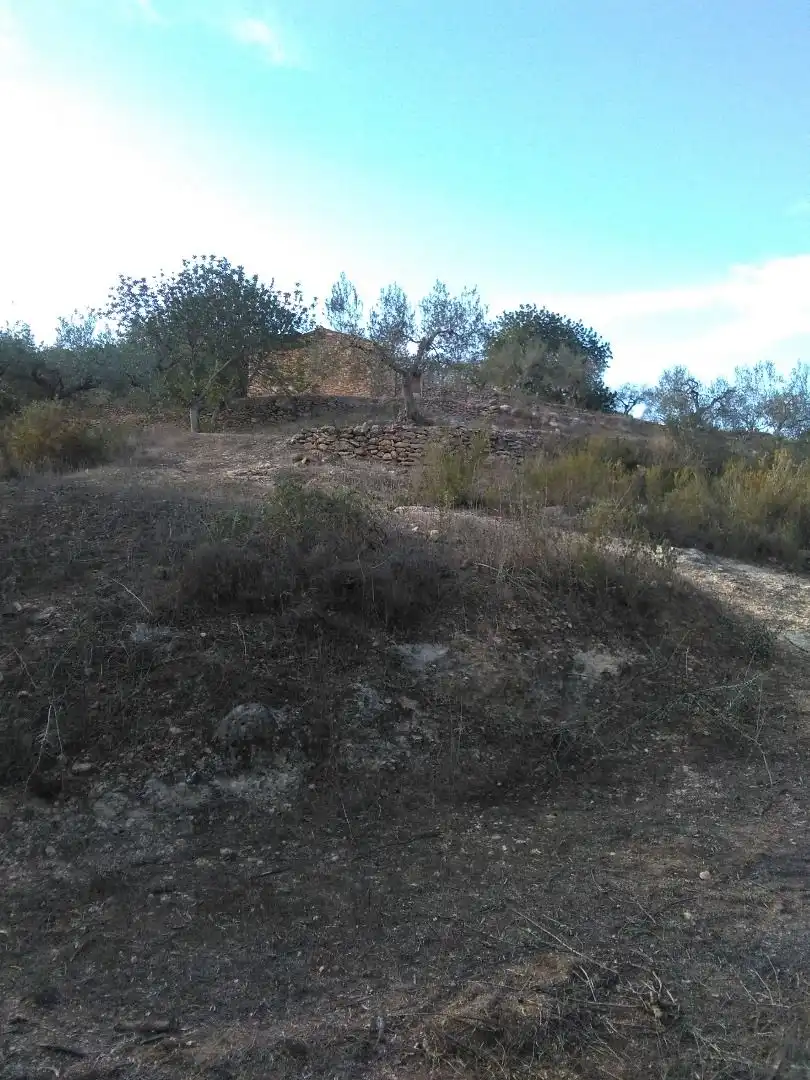 Country homes for sale in El Pinell de Brai