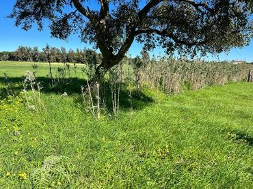 Rustikales Grundstück zum Verkauf in Vejer