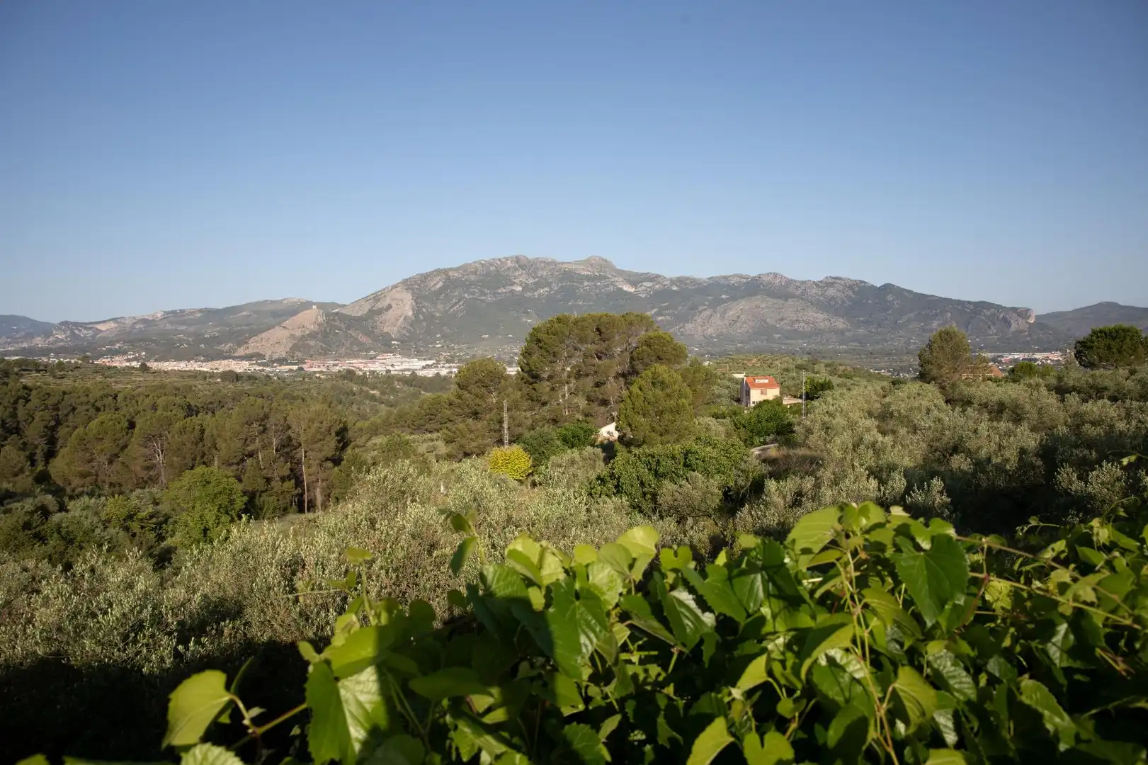 Jardí de Casa o xalet en venda en Almudaina amb Aire condicionat, Piscina i Moblat