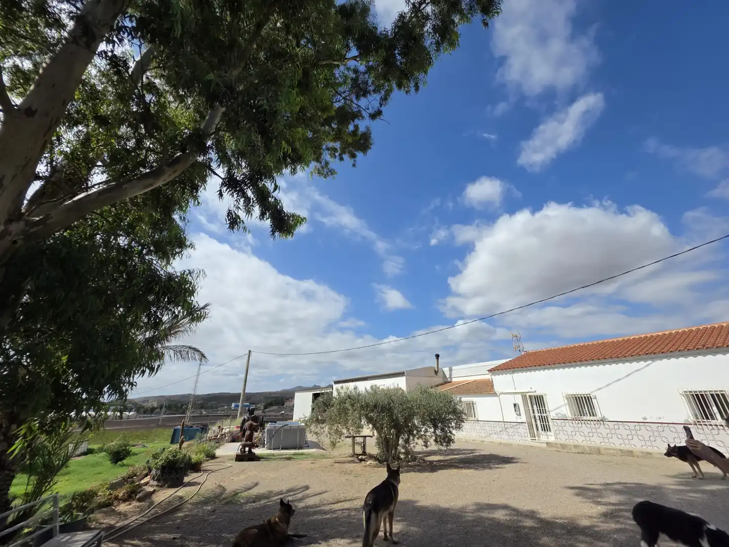 Landhaus mit Garten zum Verkauf in Avenida Santa Ana