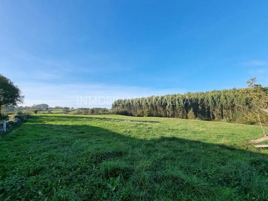 Residential for sale in Colunga