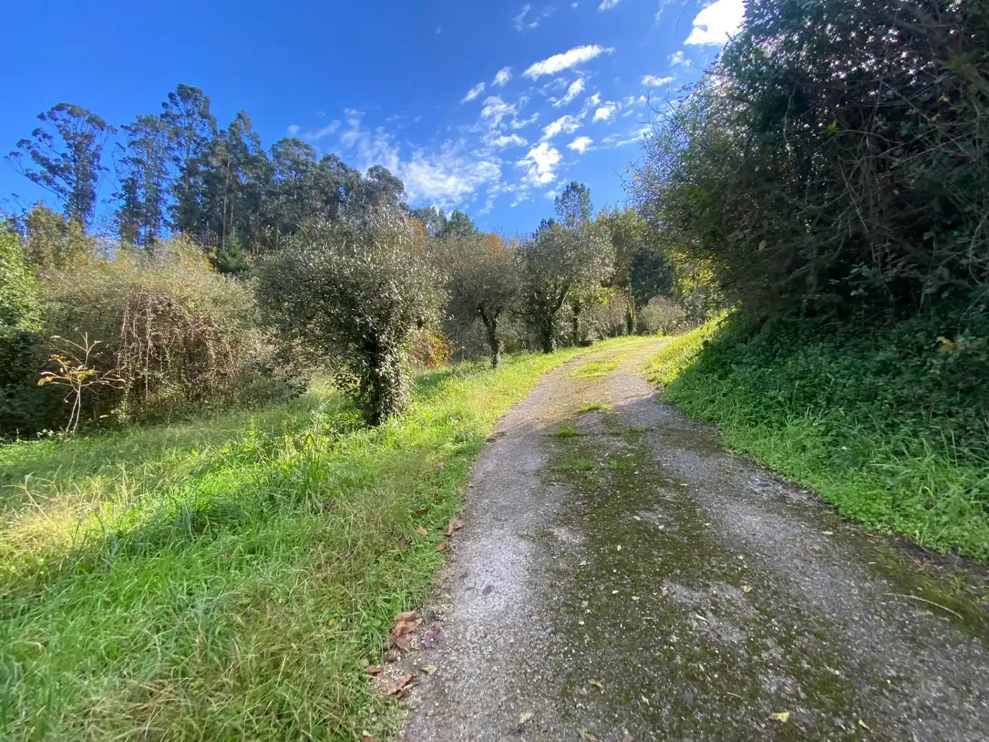 Vista exterior de Casa o chalet en venta en Caldas de Reis