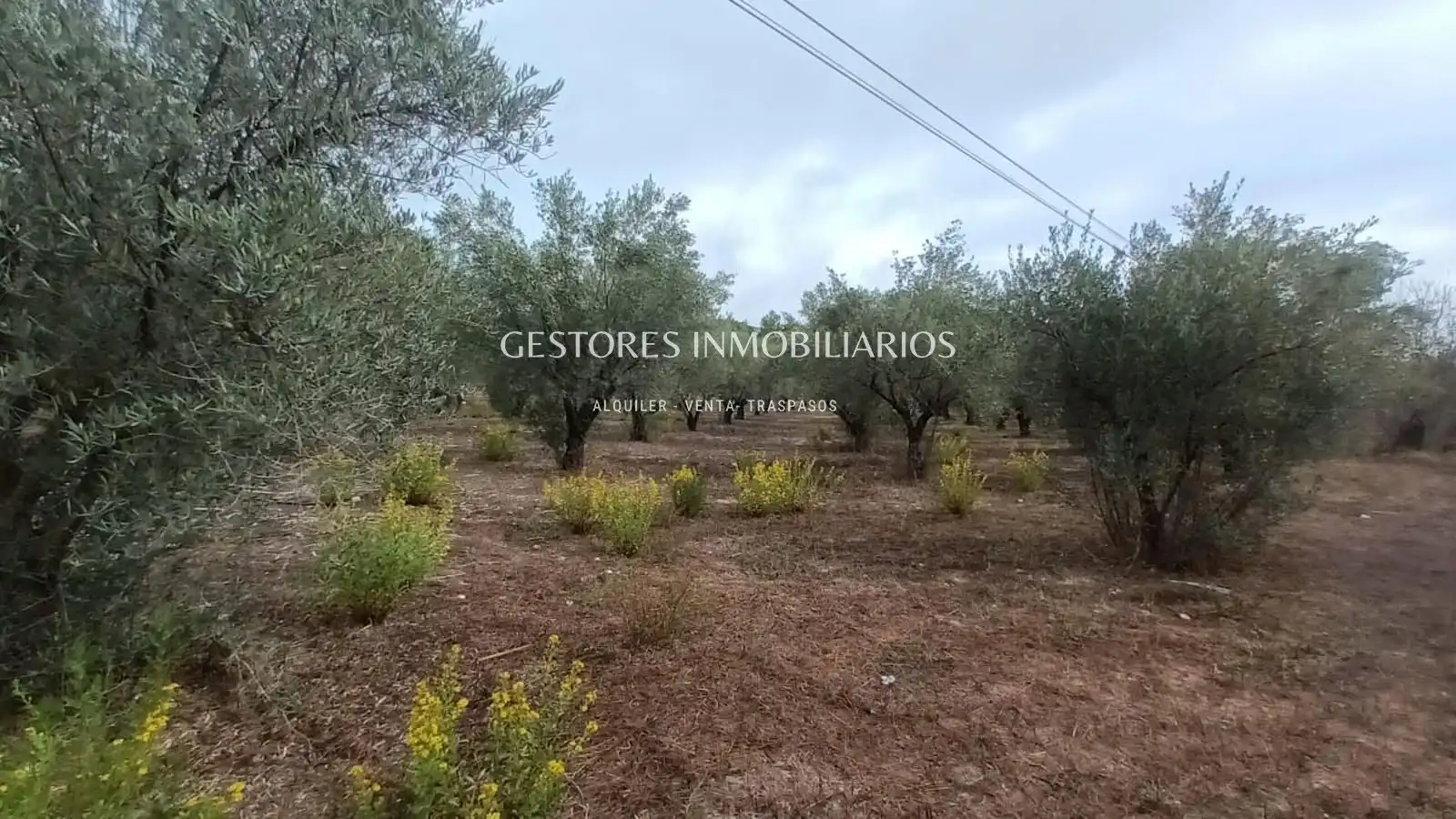 Casa o xalet en venda en Alcoy / Alcoi amb Calefacció