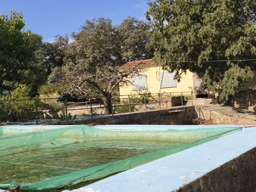 Casa con piscina in vendita a CARRETERA MONTGAI 11, imagen 9