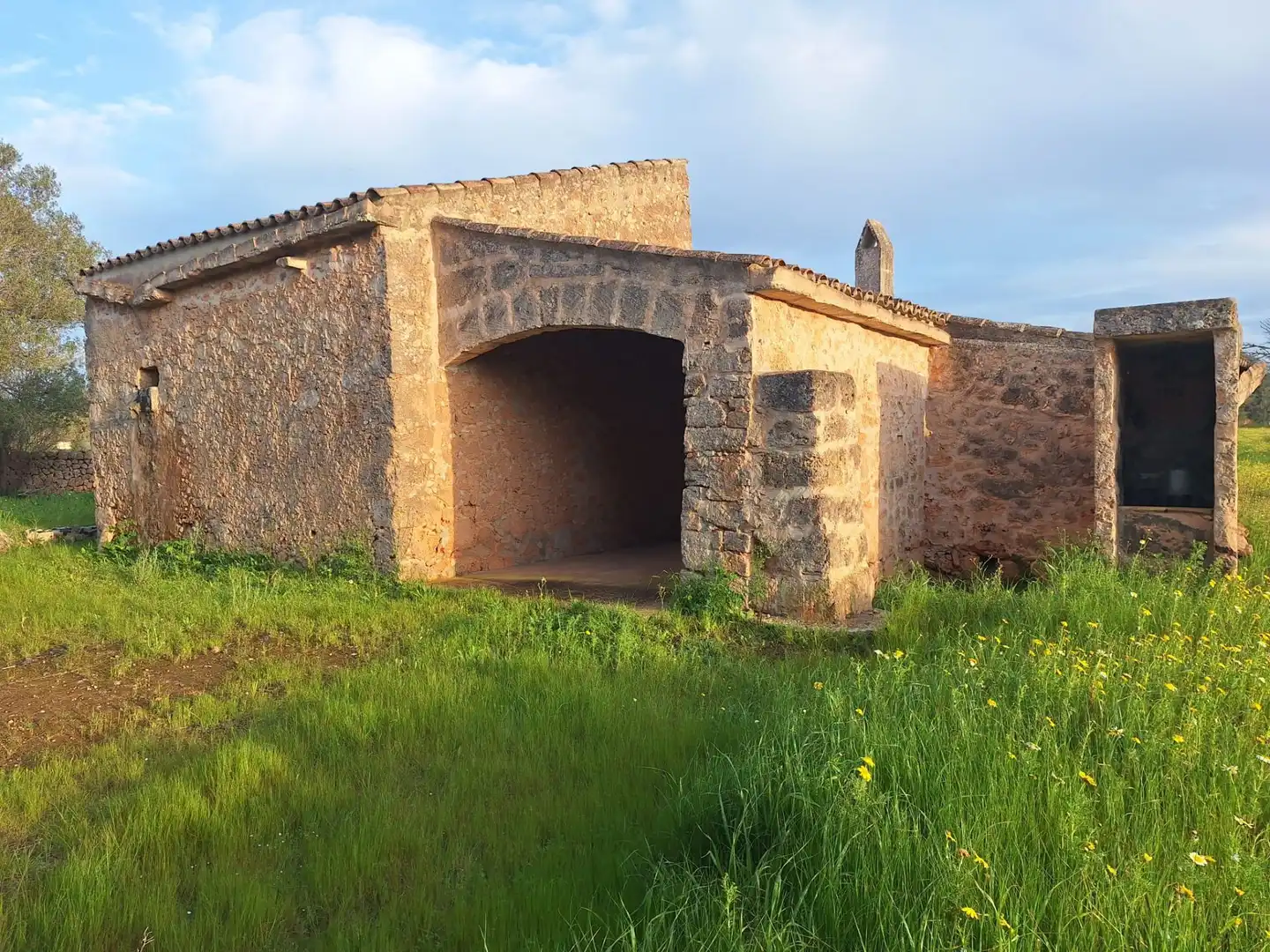 Vista exterior de Finca rústica en venta en Algaida