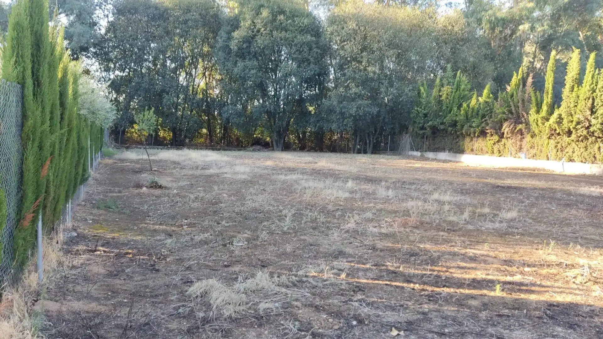 Residential land for sale in Calle Diseminado Urbanizacion Paramo, imagen 3