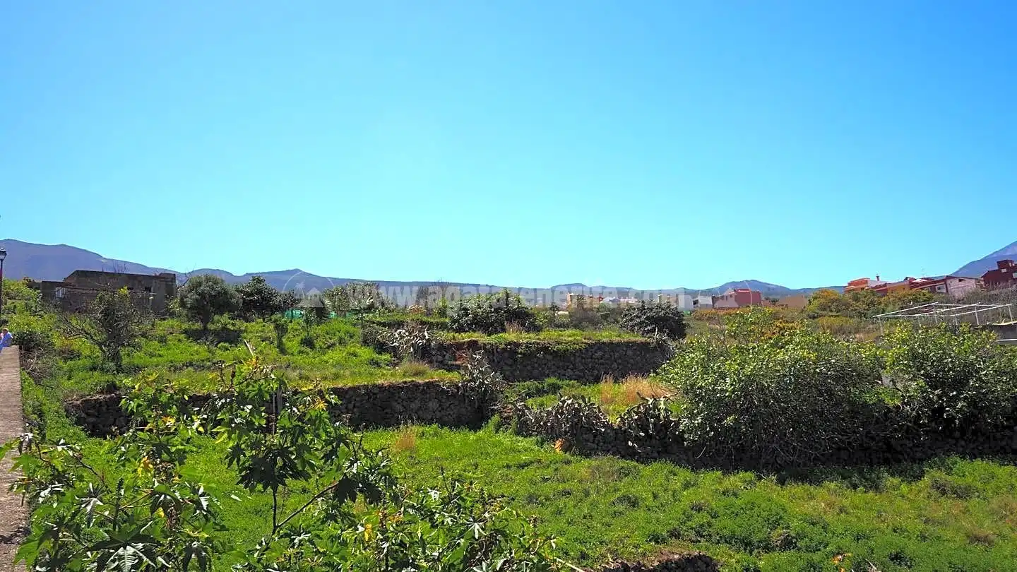Terrenos y solares en venta en Centro, imagen 13