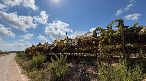 Parral en venta en Totana, imatge 4