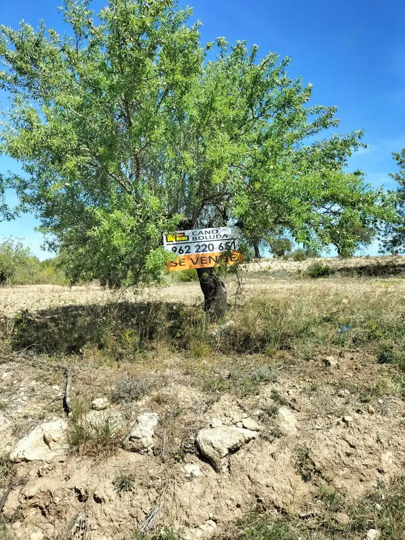 Terreno rustico in vendita a Polígono 10 Parcela 488 LA LOMA. NAVARRES (VALENC, imagen 13