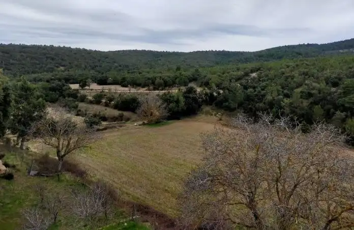 Finca rústica en venda en Castellón de la Plana / Castelló de la Plana
