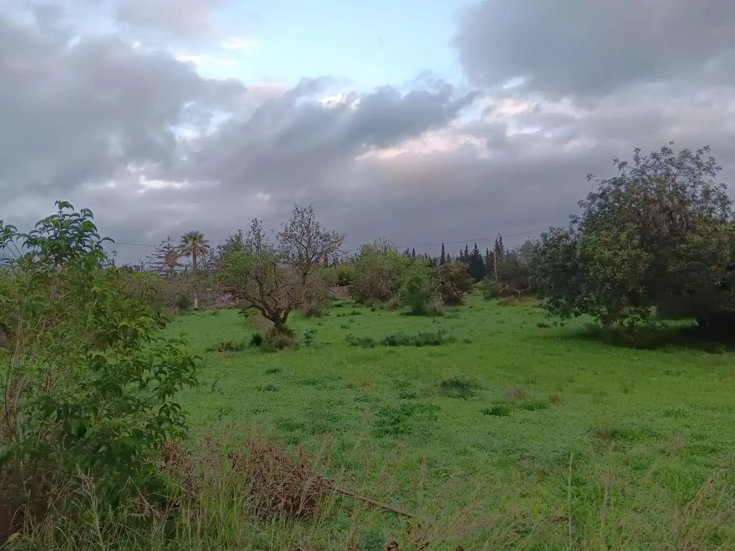 Terrenys i solars en venda a Jesús - Els Reguers, imagen 17